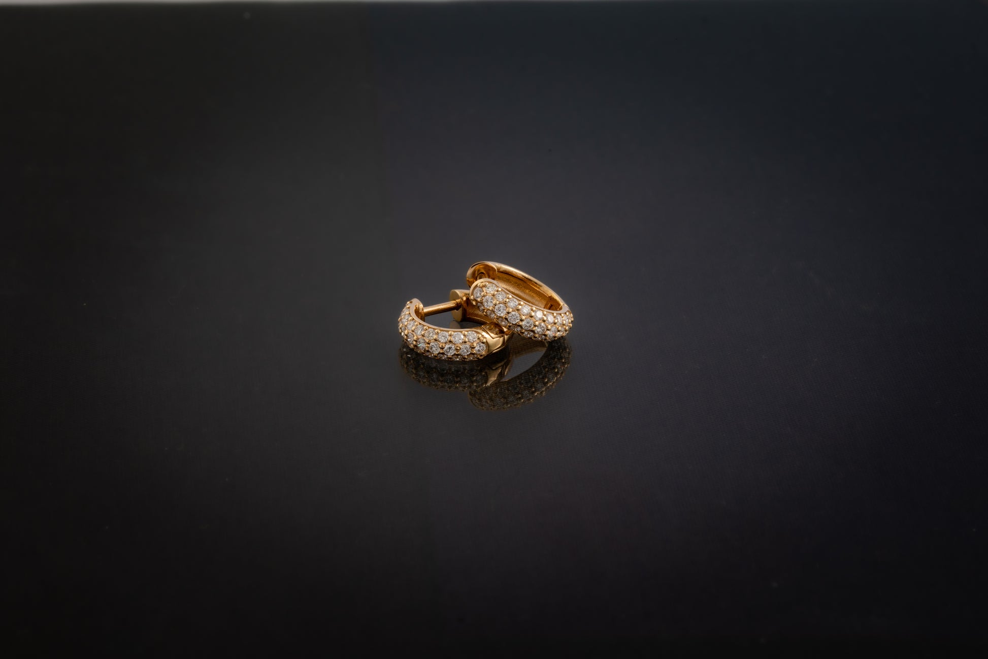 Boucles d'oreilles Acacia