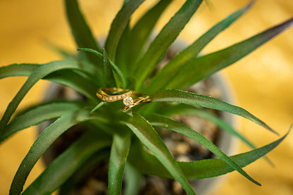 Bague Plumbago