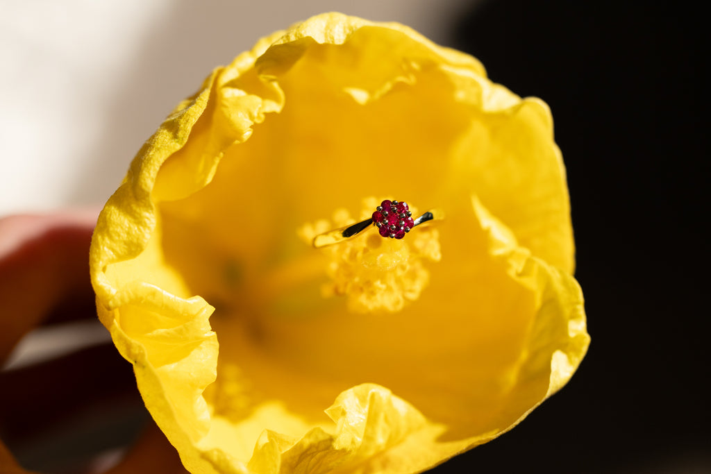 Bague Rondeletia
