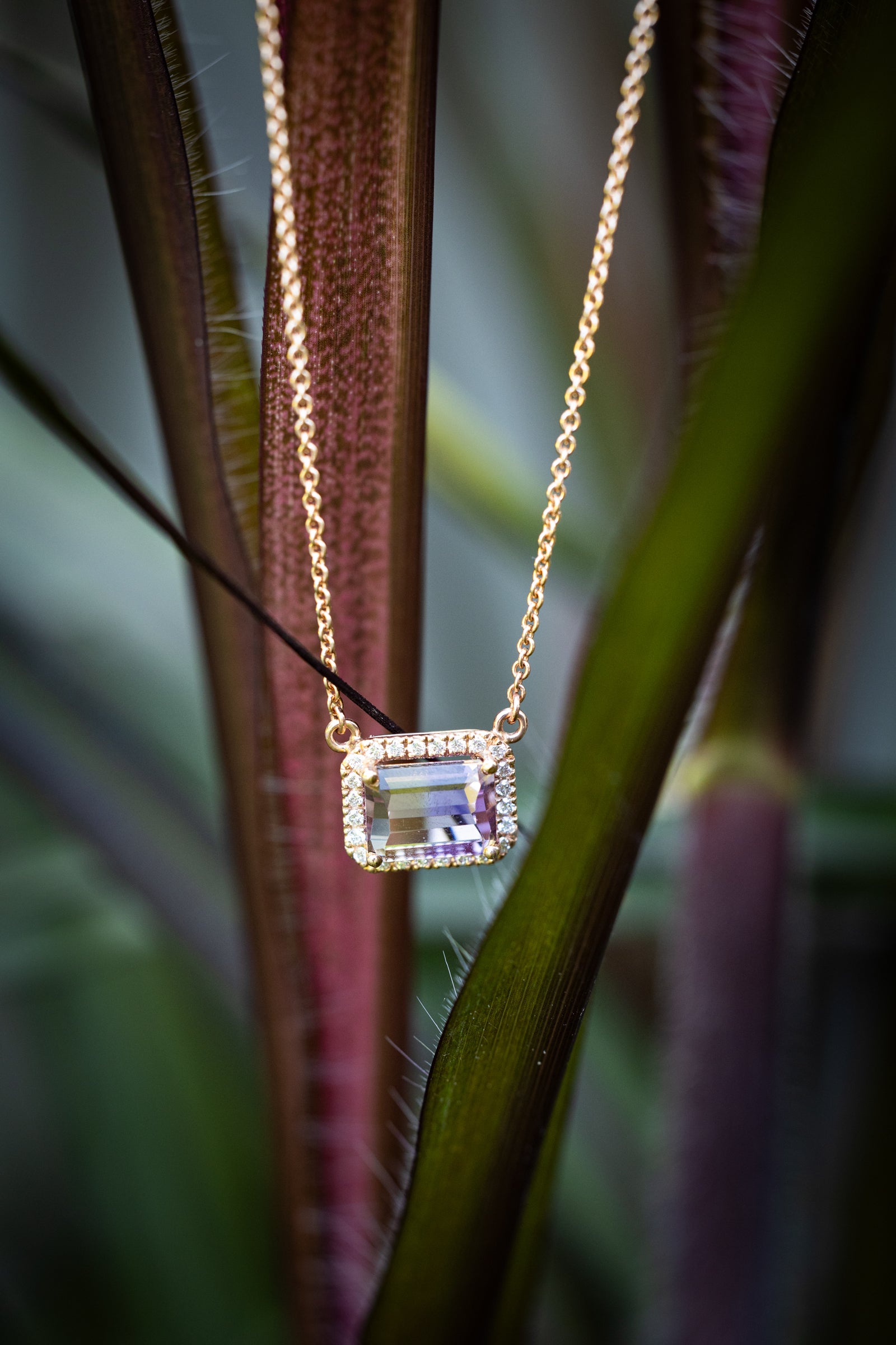 Collier Pyrèthre rose