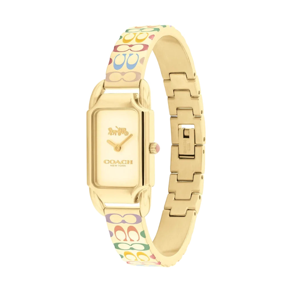 Montre Coach Cadie - Bangle Arc-en-ciel