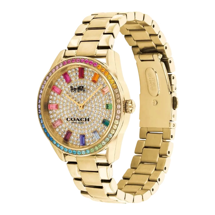 Montre Coach Preston - Multi